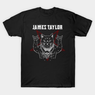 JAMES TAYLOR MERCH VTG T-Shirt